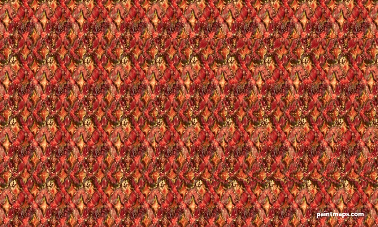 Goergia-US Haritası - 3D Stereogram (Şaşı Bak Şaşır)